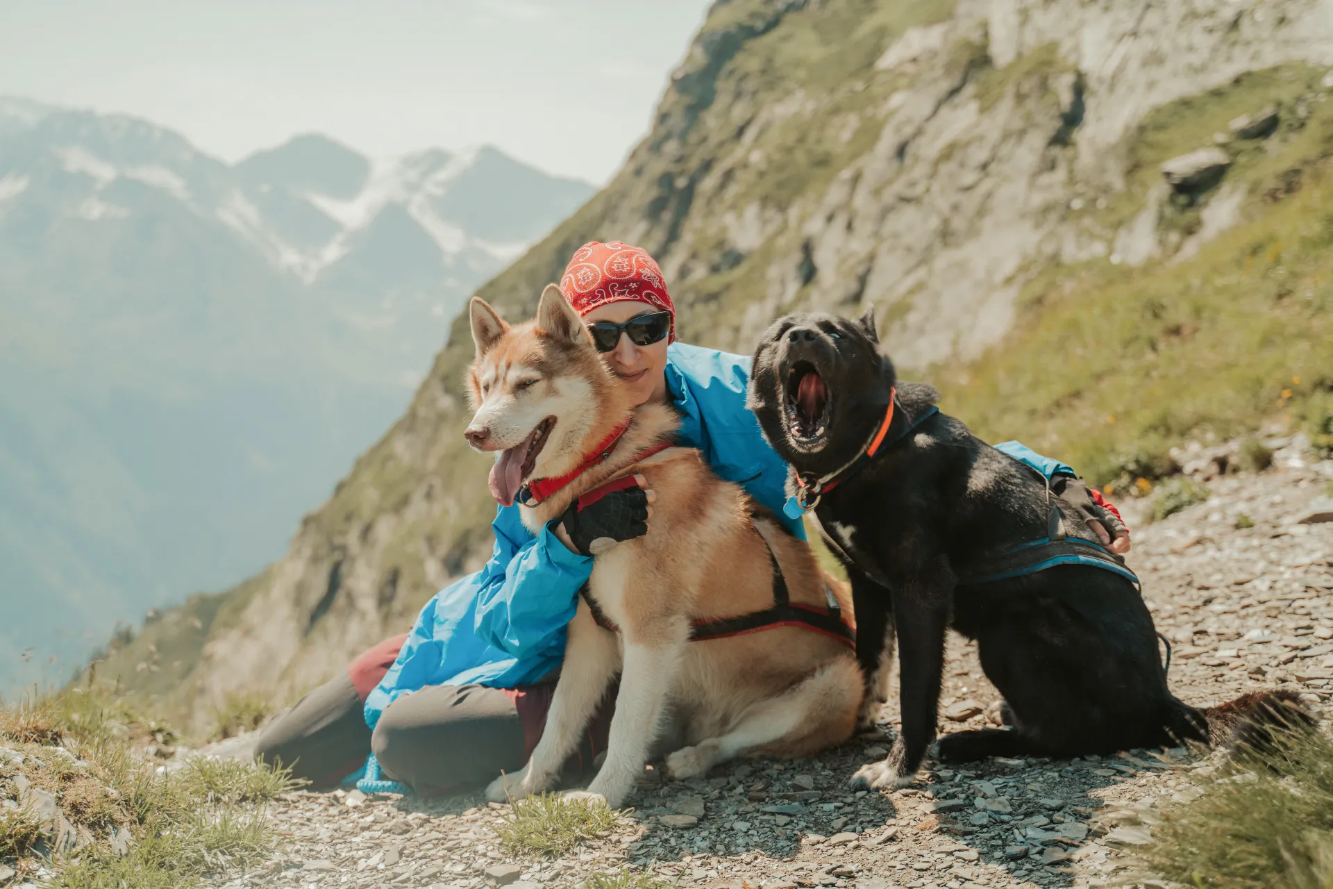 Wandern mit Haustieren Wandern mit Haustieren
