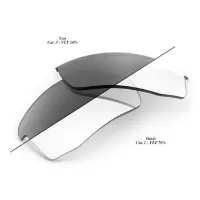 100% Speedcoupe Replacement Ersatzlinsen 100% Speedcoupe Replacement Ersatzlinsen