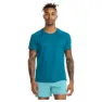 Oceanside / black reflective