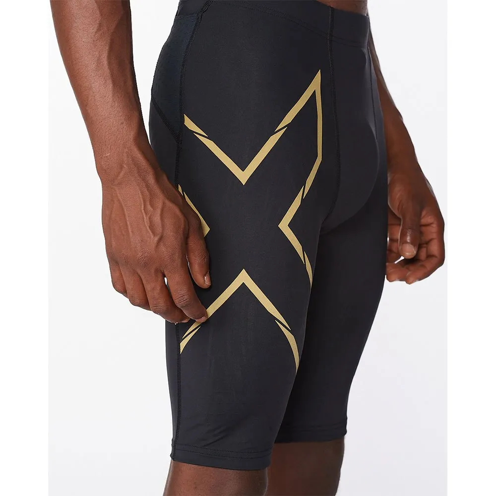 2XU Light Speed Kurze Leggings male