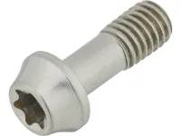 77Designz Ti Bolt Titanschraube 77Designz Ti Bolt Titanschraube