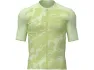 Lime sorbet
