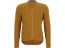 Butterscotch
