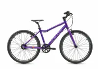 ACADEMY Grade 5 Belt Purple 24" Diamant