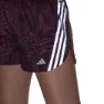 adidas 3 Stripes Aop 3´´ Kurze Hose female