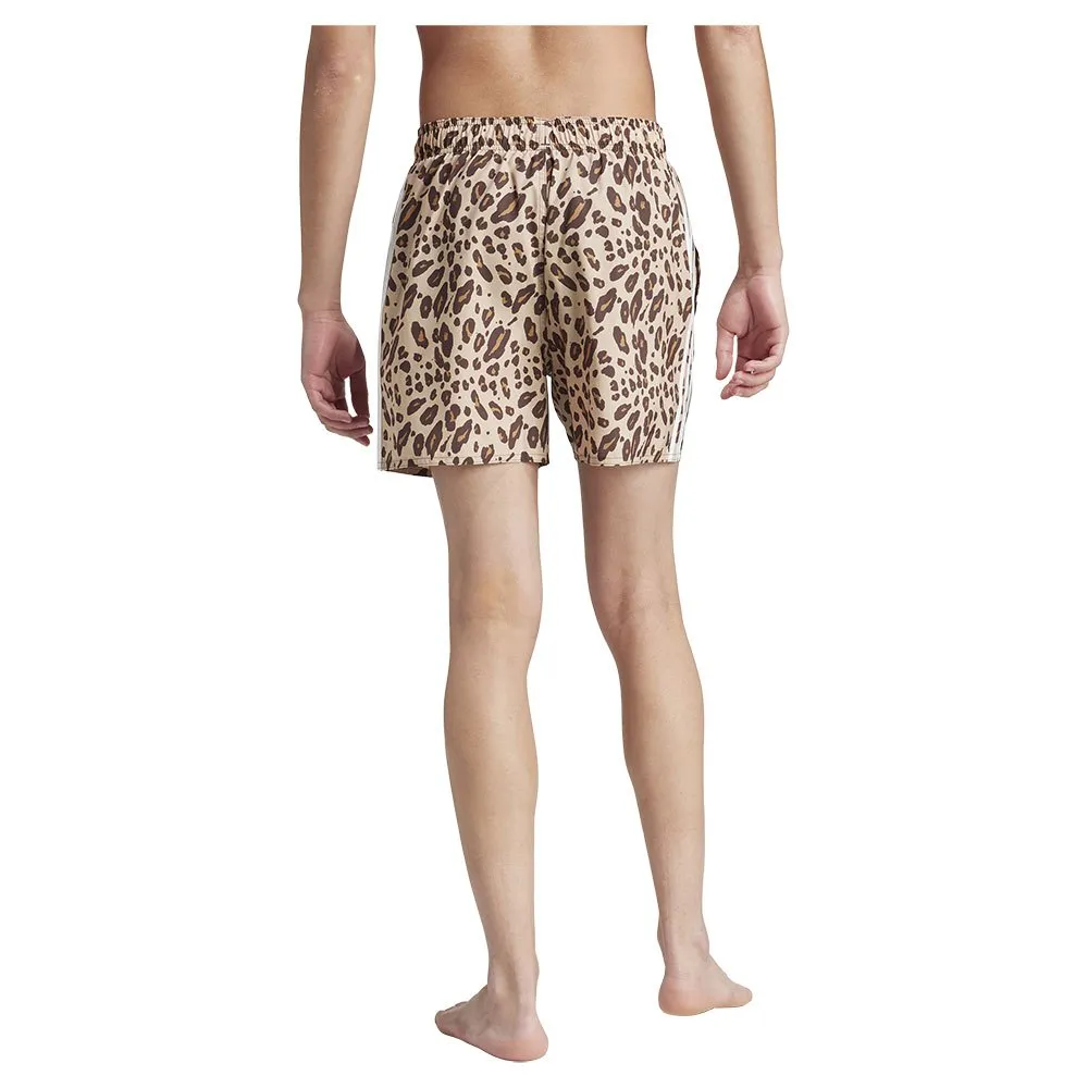 adidas Animal Clx Badeshorts male, Shadow brown / hemp