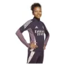adidas Arsenal Tiro 24 Halbreißverschluss-sweatshirt