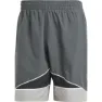 adidas Clrdo Badeshorts