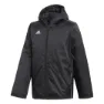 adidas Core 18 Stadium Jacke male
