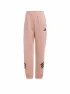 adidas Damen Jogginghose FI 3S REG PT BV