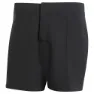 adidas Iconisea Badeshorts