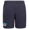 adidas Linear Badeshorts male, Shadow navy / sky rush, 15-16Y