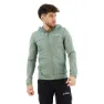 Silver green