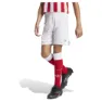 adidas Olympiacos Fc Anniversary Kurze Hose