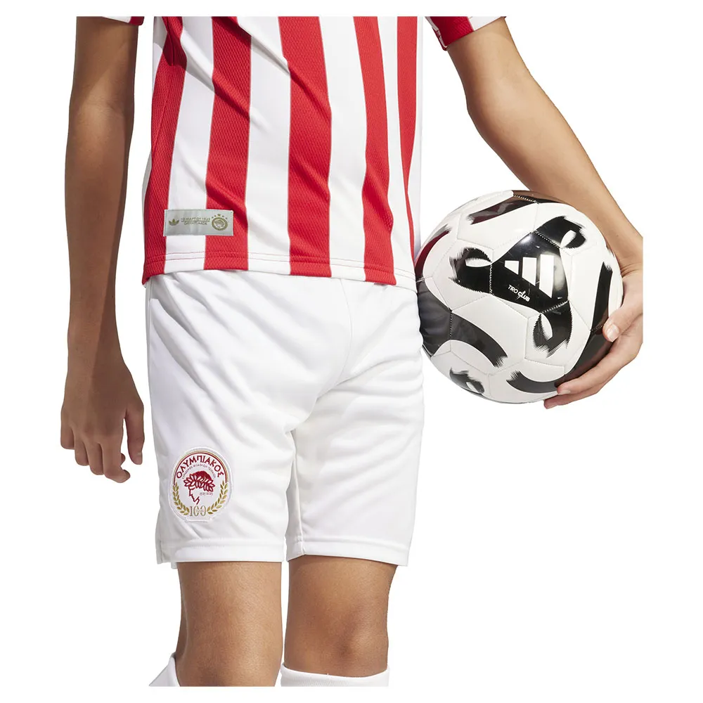 adidas Olympiacos Fc Anniversary Kurze Hose