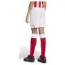 adidas Olympiacos Fc Anniversary Kurze Hose