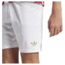 adidas Olympiacos Fc Anniversary Kurze Hose