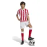 adidas Olympiacos Fc Anniversary Kurze Hose