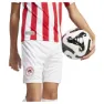 adidas Olympiacos Fc Anniversary Kurze Hose