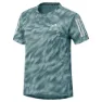 Halo mint / mint ton