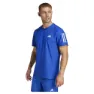 Team royal blue
