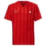 adidas Printed Freelift Kurzarm-t-shirt