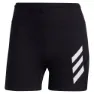 adidas Terrex Agravic Pro Trail Kurze Hose