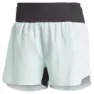 adidas Terrex Agravic Trail 3´´ Kurze Hose