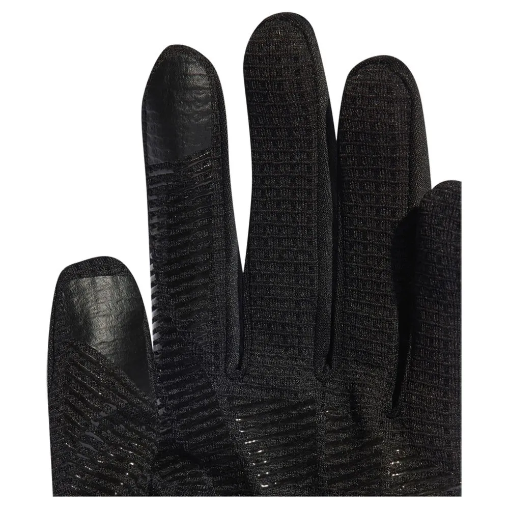 adidas Terrex Cold Rdy Handschuhe, Black