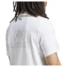 adidas Terrex Graphic Kurzarm-t-shirt