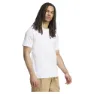 adidas Terrex Graphic Kurzarm-t-shirt