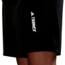adidas Terrex Liteflex Hiking Kurze Hose