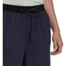 adidas Terrex Liteflex Hosen