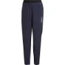 adidas Terrex Liteflex Hosen