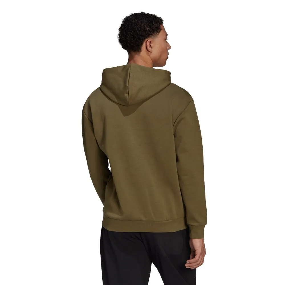 adidas Terrex Logo Graphic Kapuzenpullover, Green adidas Terrex Logo Graphic Kapuzenpullover, Green