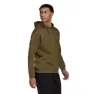 adidas Terrex Logo Graphic Kapuzenpullover, Green