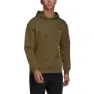 adidas Terrex Logo Graphic Kapuzenpullover, Green