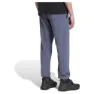 adidas Terrex Multi Knit Hosen