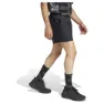 adidas Terrex Multi Kurze Hose