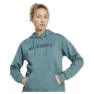 adidas Terrex Multi Large Logo Kapuzenpullover