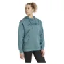 adidas Terrex Multi Large Logo Kapuzenpullover