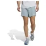 adidas Terrex Multi Light 7´´ Kurze Hose male