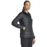 adidas Terrex Multi Light Down Jacke