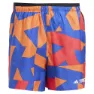 adidas Terrex Multi Light Printed 7´´ Kurze Hose male
