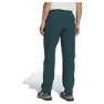 adidas Terrex Multi Liteflex Hosen