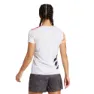 adidas Terrex Pro Kurzarm-t-shirt