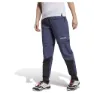 adidas Terrex Utilitas Hiking Zip Off Hosen