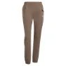 adidas Terrex Xperior Light Hosen female