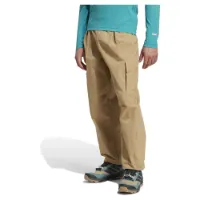 adidas Terrex Xploric Cargo Hosen