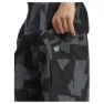 adidas Terrex Xploric Cargo Printed Joggers